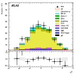 [ee+mm]-CutggF_2jet_TopControl_PTH_GT300-leadLepEta