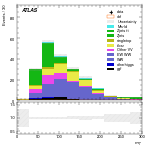 [ee+mm]-CutggF_2jet_STXS_PTH_GT300-MT