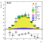[ee+mm]-CutggF_2jet_TopControl_PTH_GT300-subleadLepEta