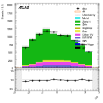 [ee+mm]-CutGGF2j_WWVR_VHveto-leadLepEta